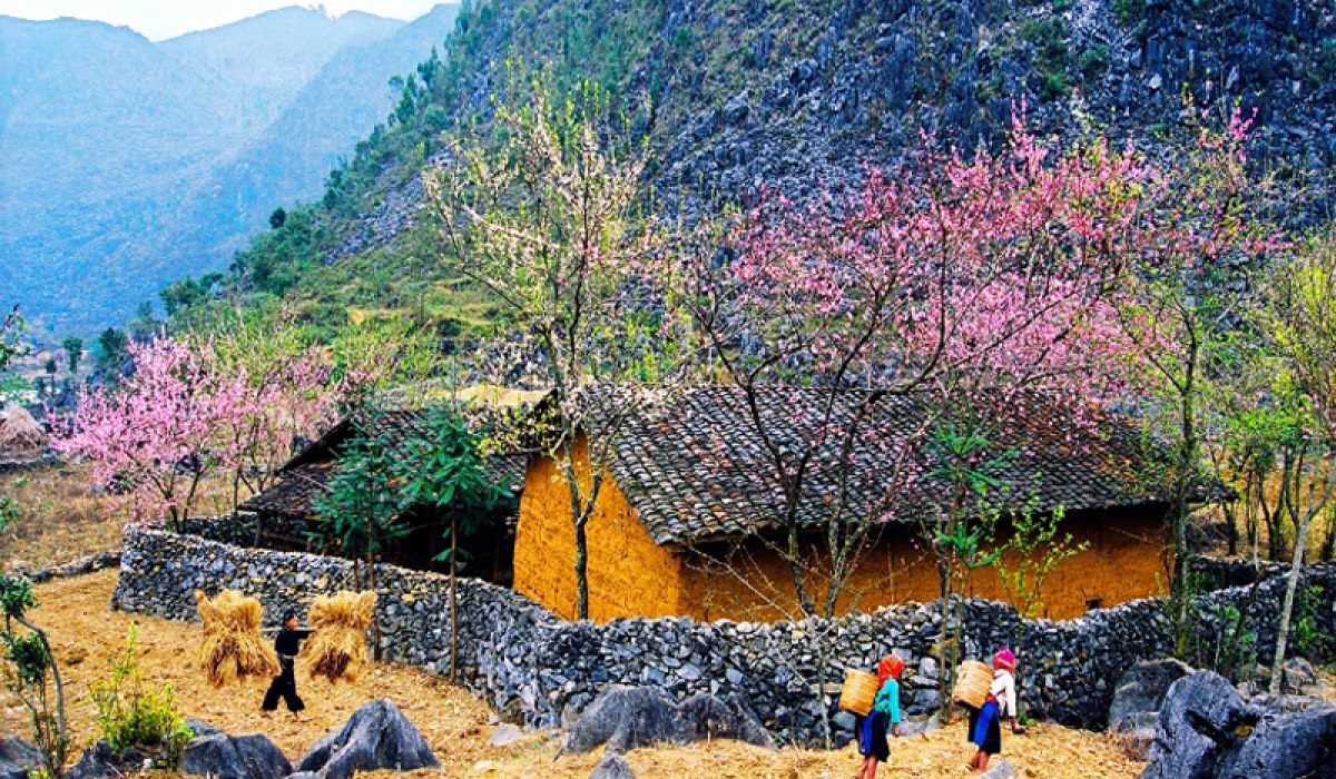 Ha Giang Loop: Discover the Wild