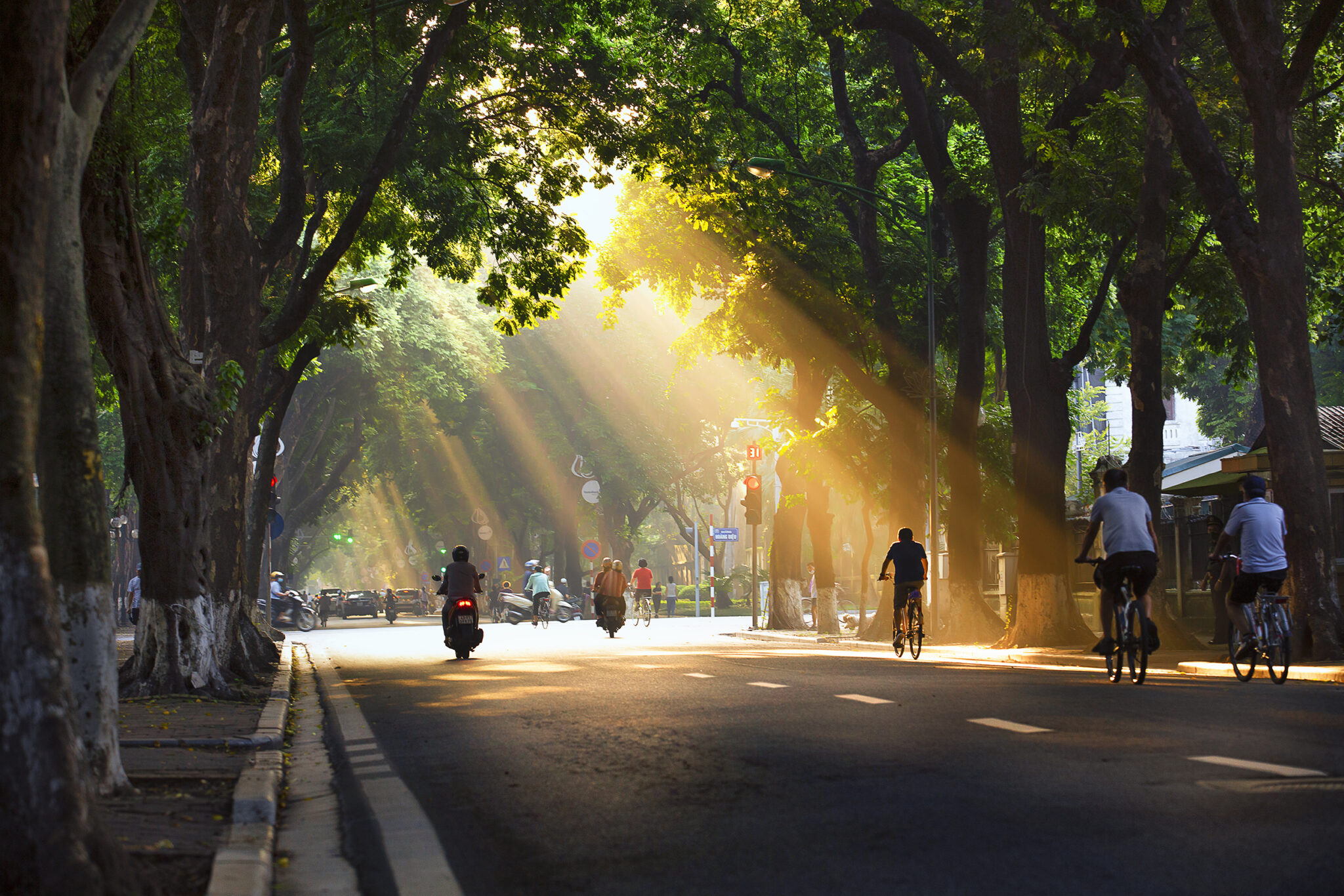 Hanoi In Autumn Edition: A Journey Through Tradition & Trend