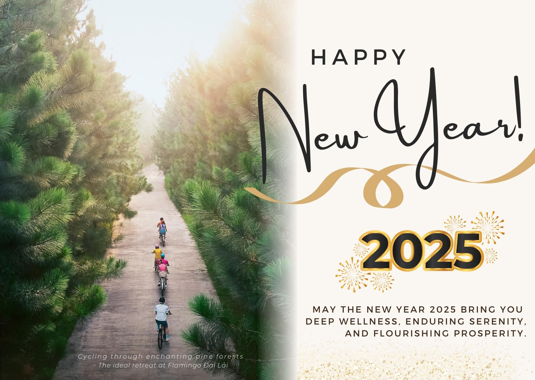 Happy New Year 2025!