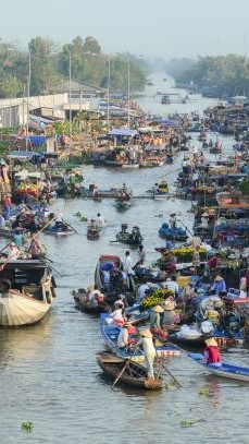 Mekong Delta