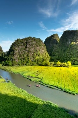 ESSENTIAL OF VIETNAM