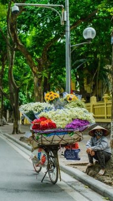 Hanoi 