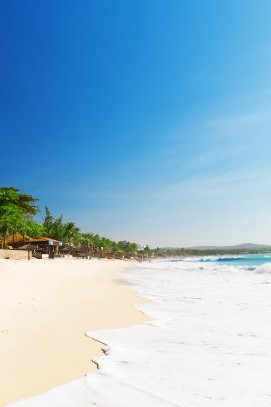 THE QUINTESSENCE OF VIETNAM